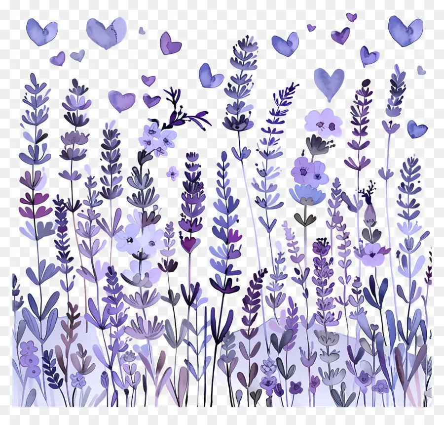 Champs De Lavande，Fleurs Violettes PNG