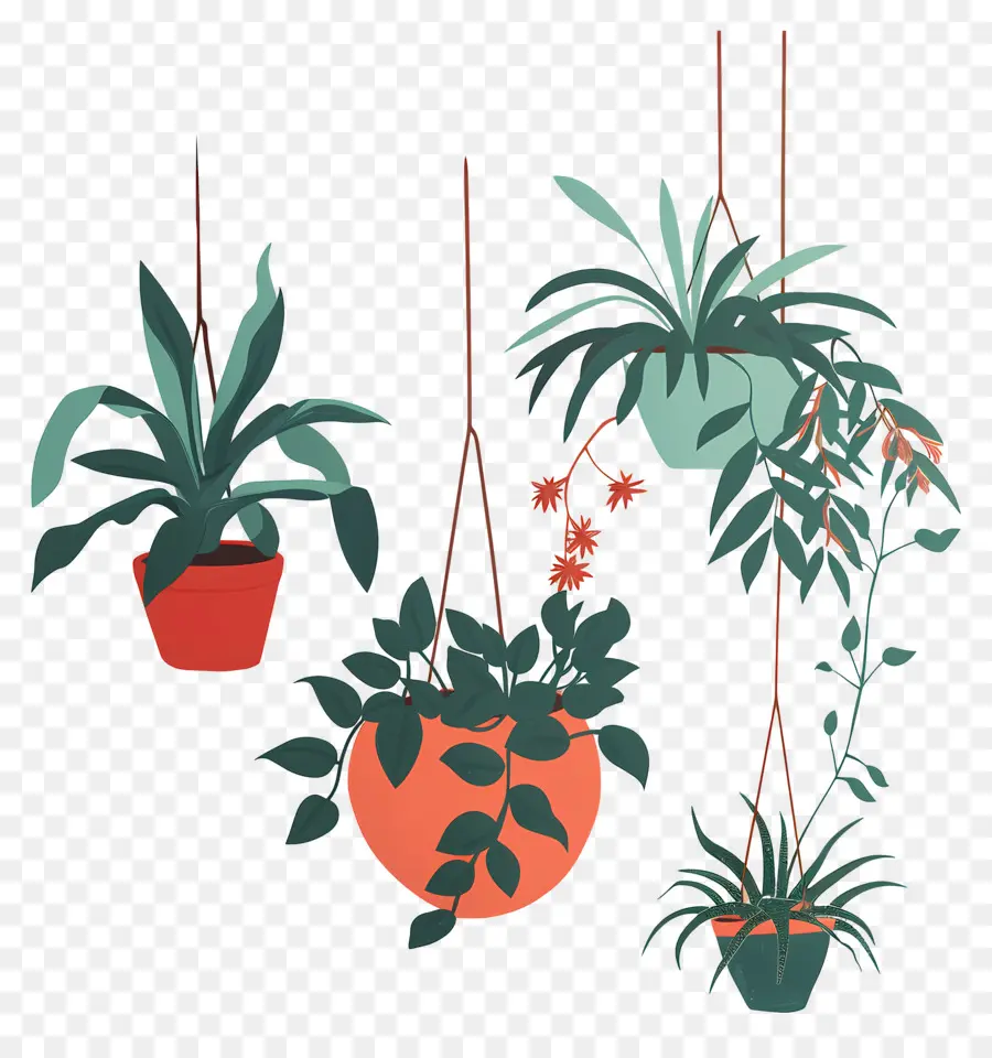 Plantes En Pot Suspendues，Plantes Suspendues PNG