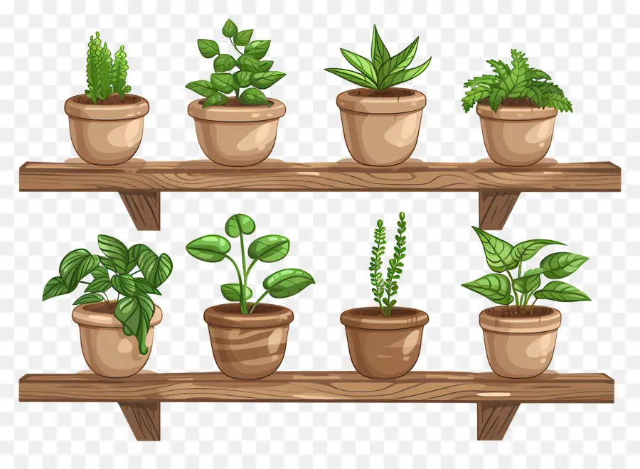 Plantes En Pot，Étagères PNG