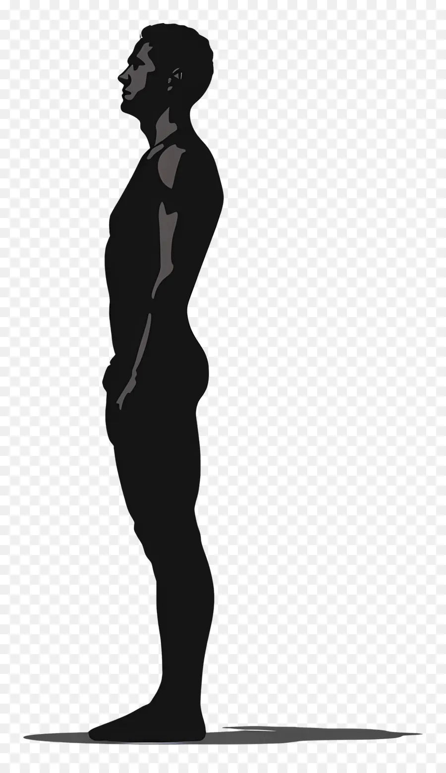 Silhouette D'homme Debout，Personne Debout PNG