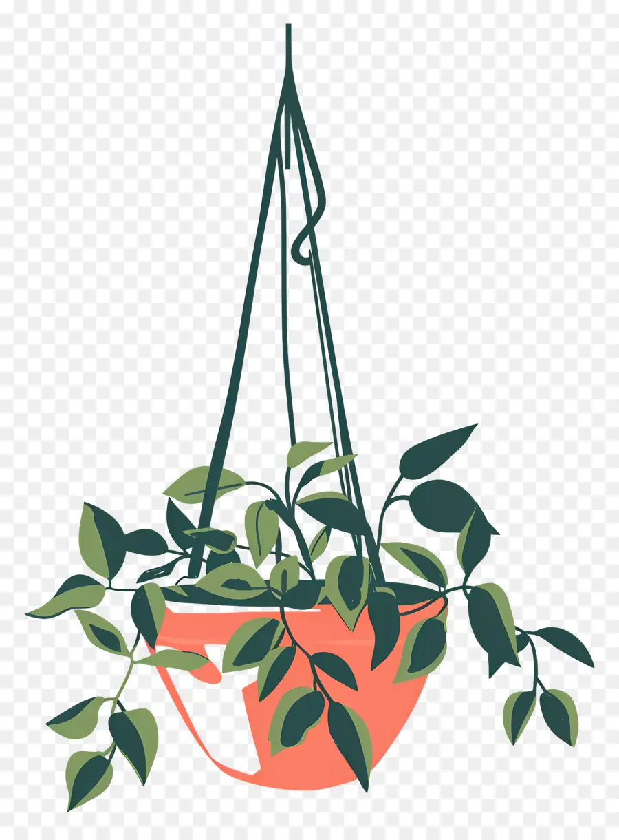 Cintre Pour Plantes，Plante Suspendue PNG