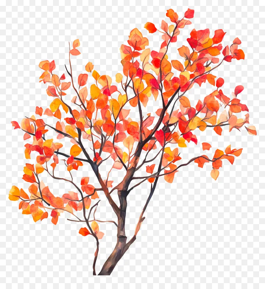 L'automne Commence，Feuilles D'automne PNG