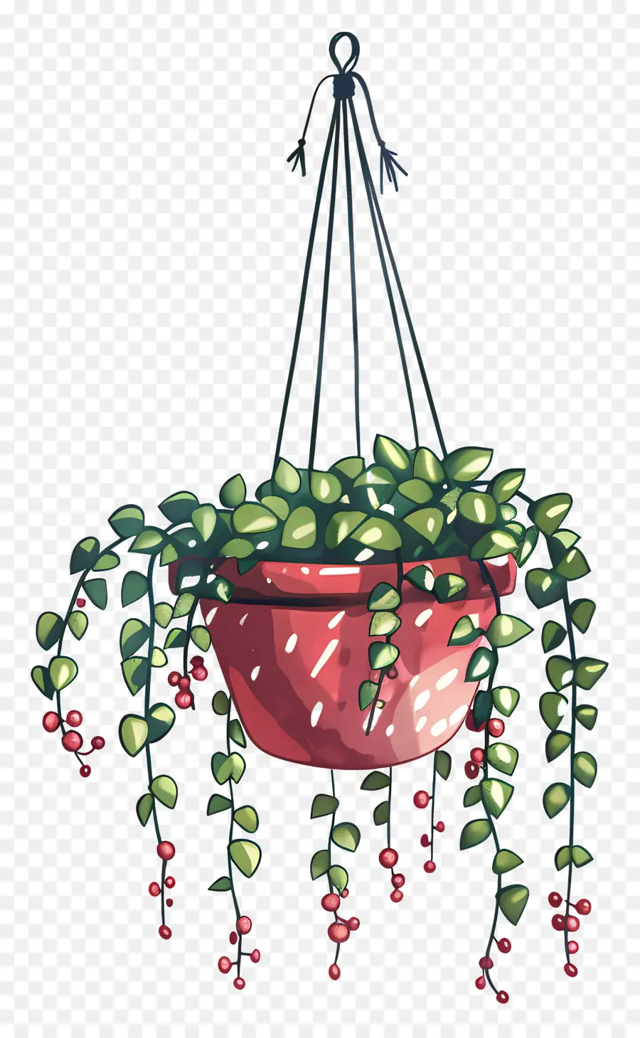 Cintre Pour Plantes，Plante Suspendue PNG