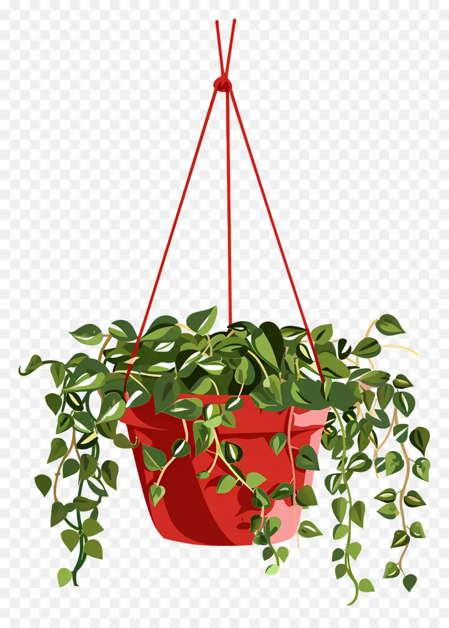 Cintre Pour Plantes，Plante Suspendue PNG