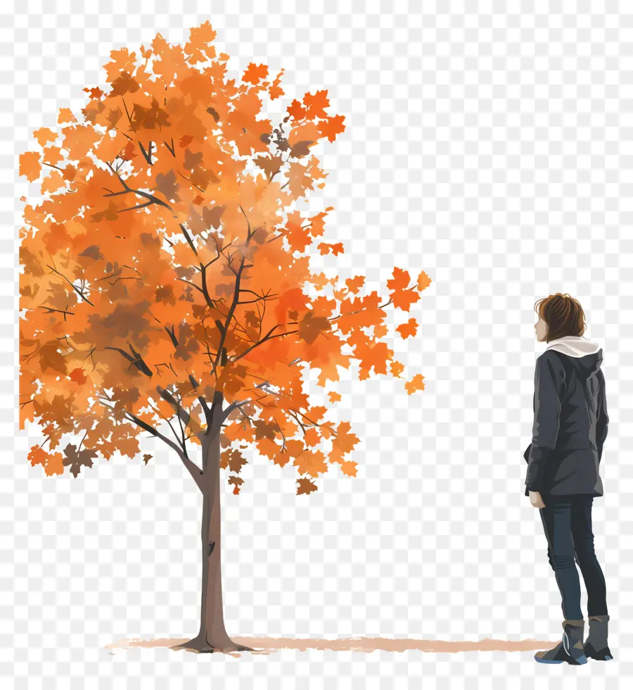 Femme En Journée D'automne，Arbre D'automne PNG