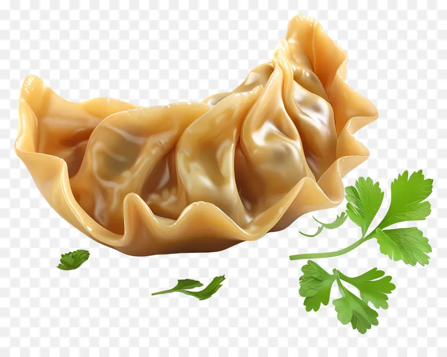 Raviolis Végétariens，Boulette PNG