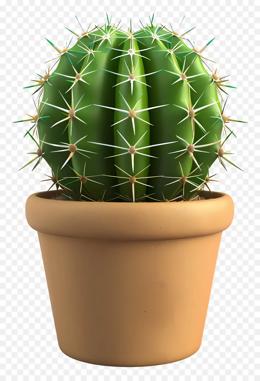 Cactus En Pot，Cactus PNG