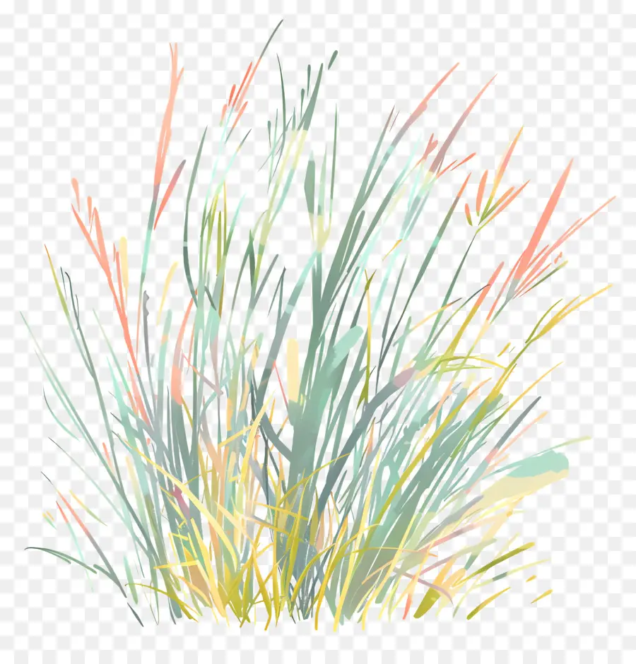 Herbe，Plantes PNG