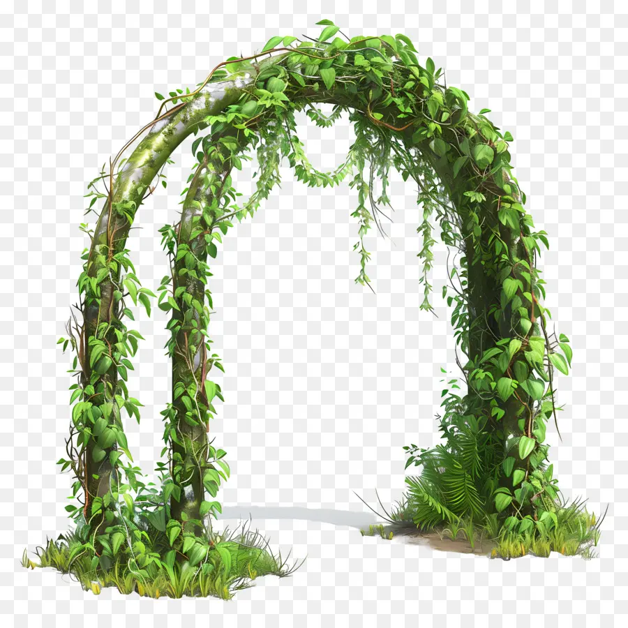 Arche De Jardin，Arche Verte PNG