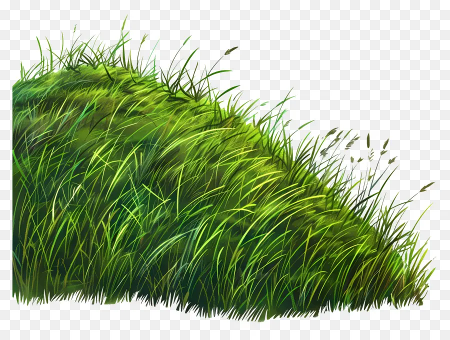 Colline D'herbe，Colline PNG