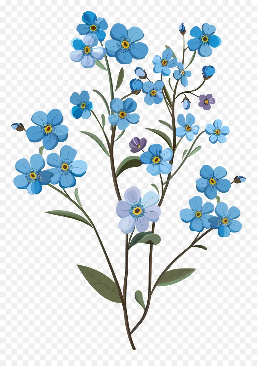 Ne M'oublie Pas Fleur，Fleurs Bleues PNG