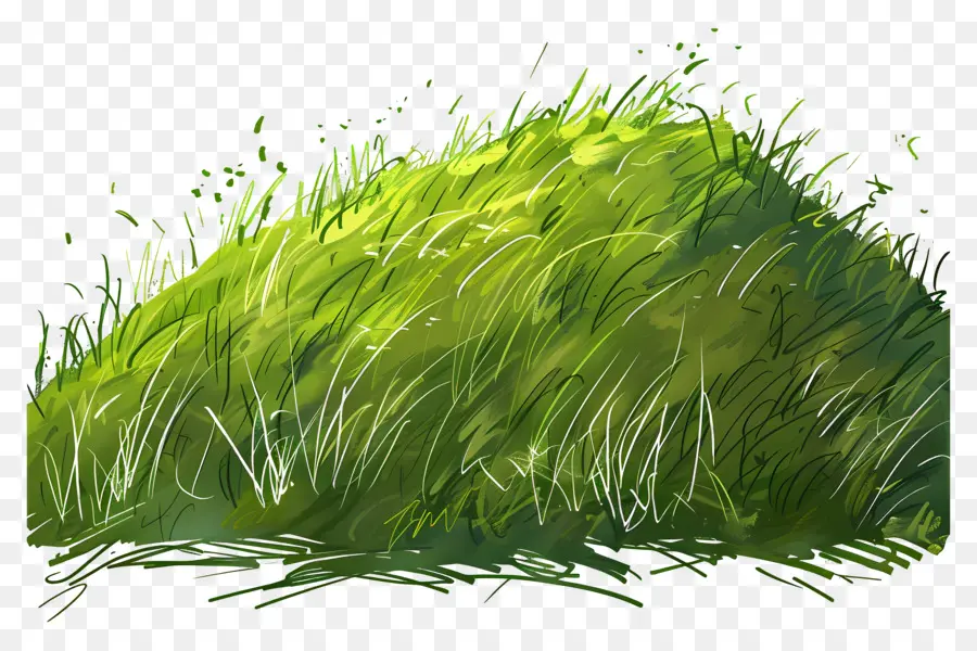 Colline D'herbe，Colline PNG