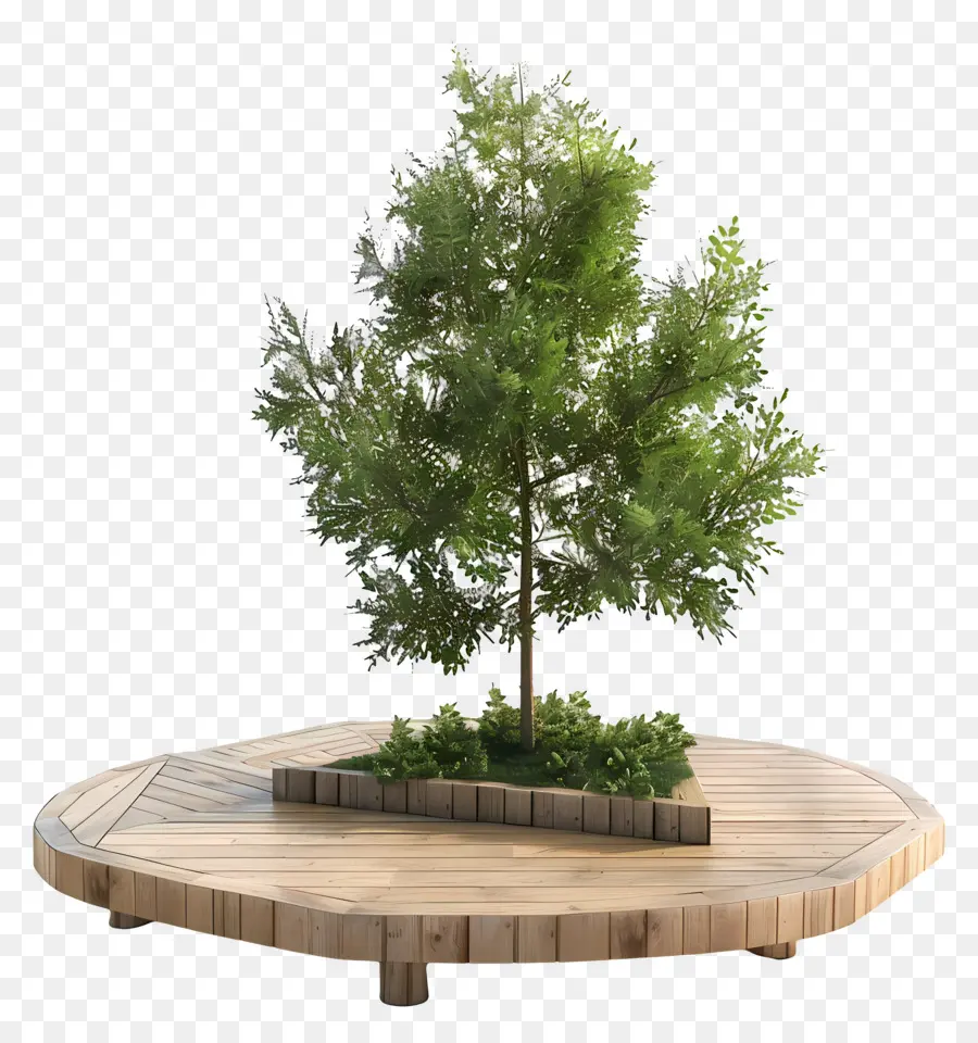 Terrasse En Bois，Arbre PNG