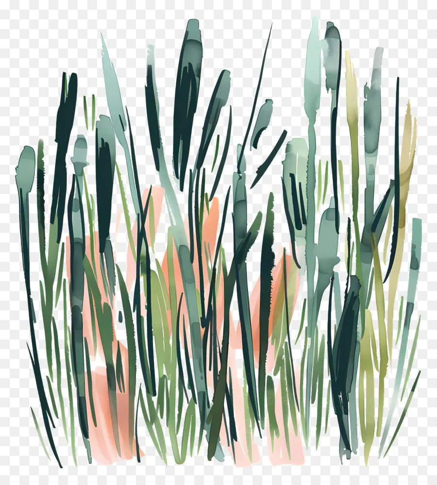 Herbe，Plantes PNG