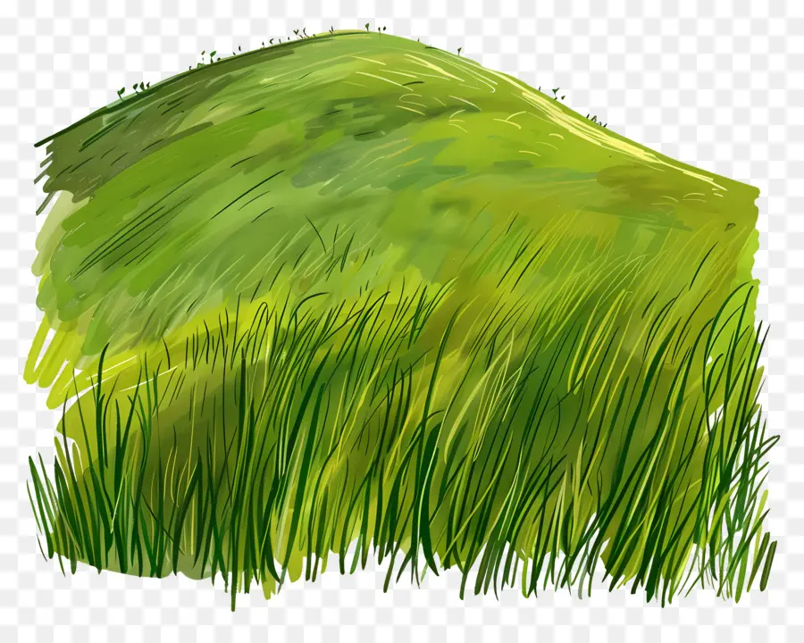 Colline D'herbe，Colline PNG