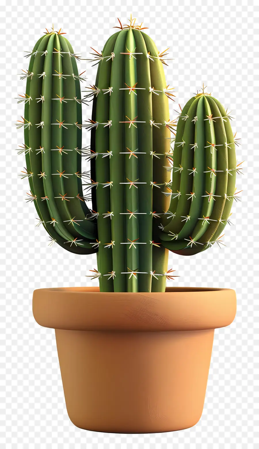 Cactus En Pot，Cactus PNG