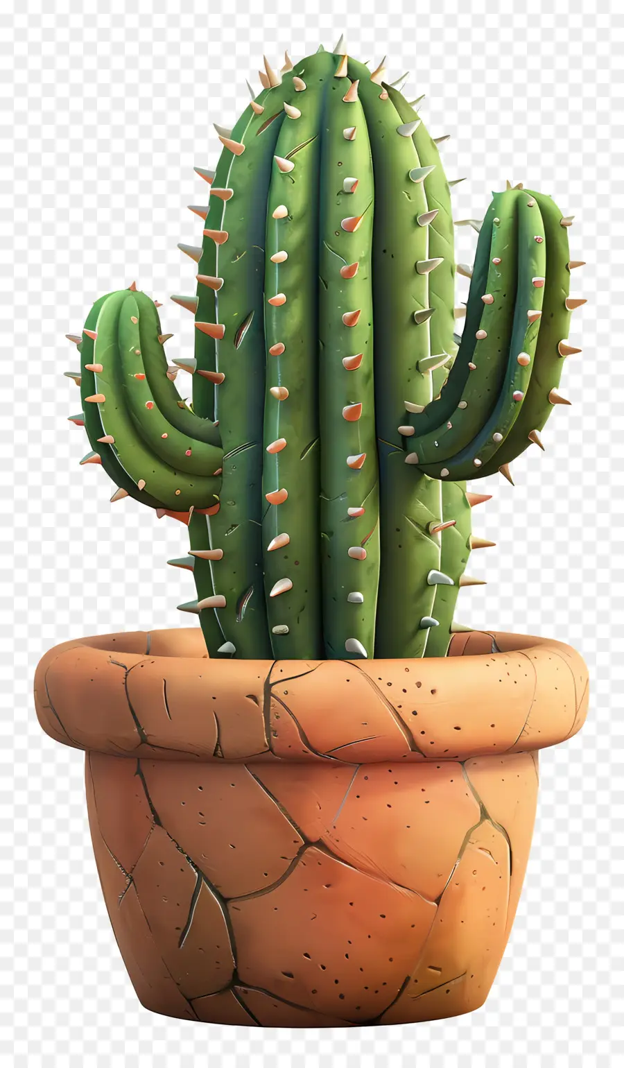 Cactus En Pot，Cactus PNG