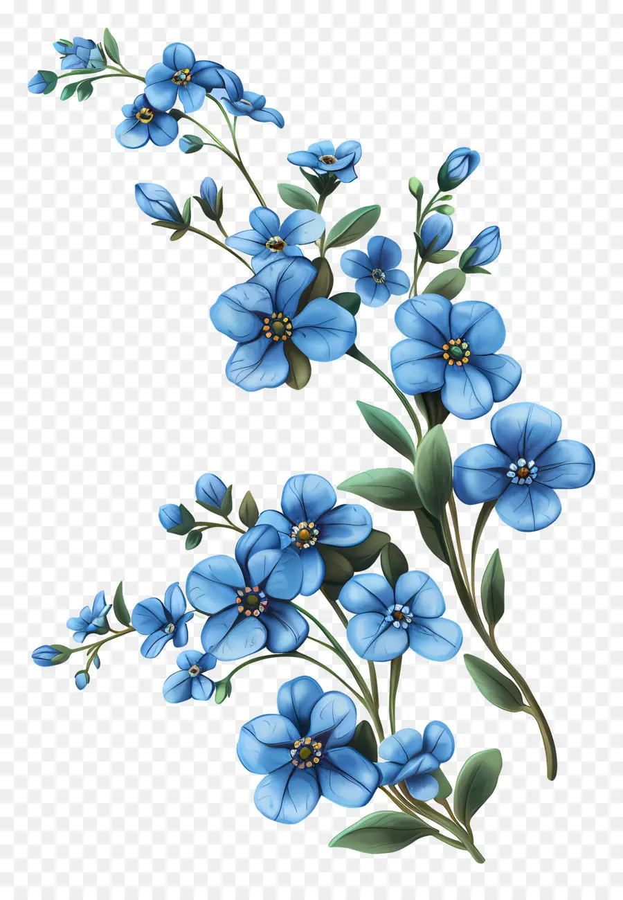 Ne M'oublie Pas Fleur，Fleurs Bleues PNG