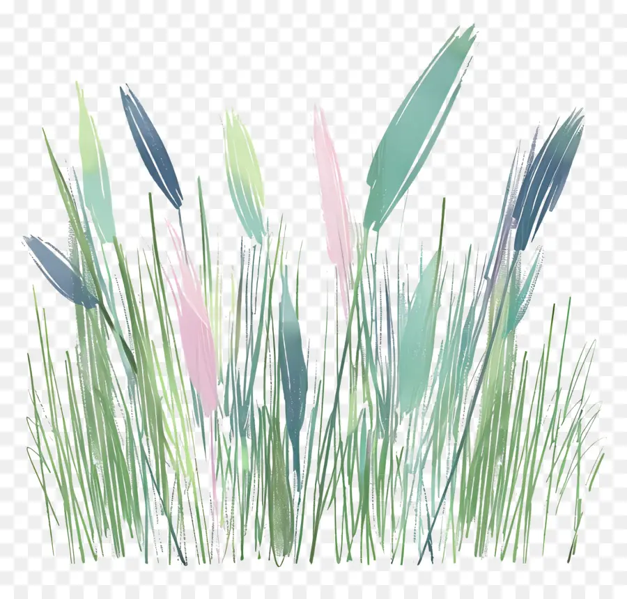 Herbe，Plantes PNG