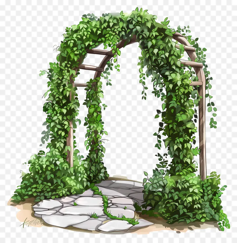 Arche De Jardin，Voûte Verte PNG