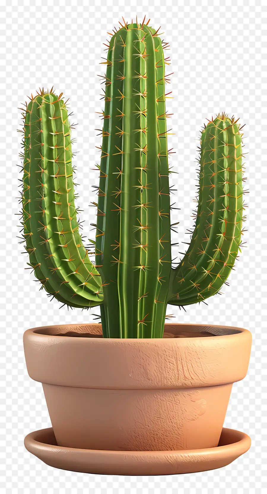 Cactus En Pot，Cactus PNG