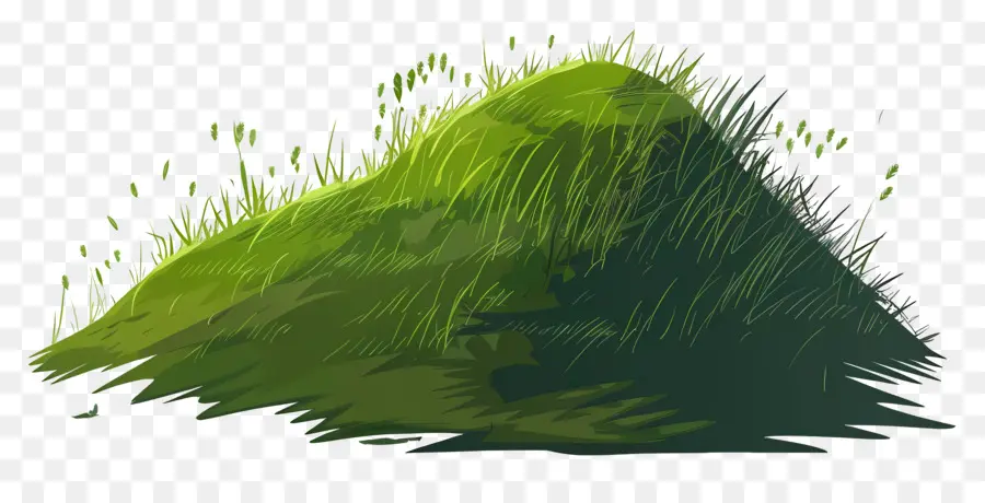 Colline D'herbe，Colline PNG