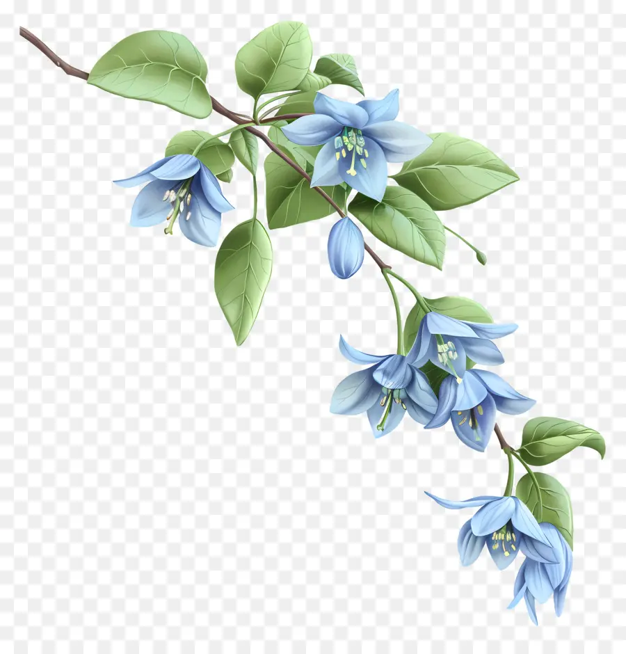 Fleur De Jacinthe Des Bois，Fleurs Bleues PNG