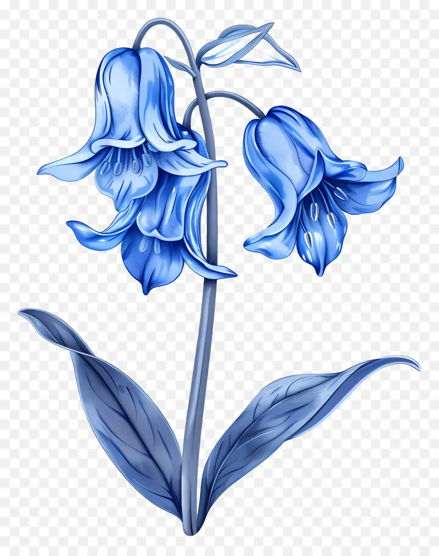 Fleur De Jacinthe Des Bois，Fleurs De Jacinthe Des Bois PNG