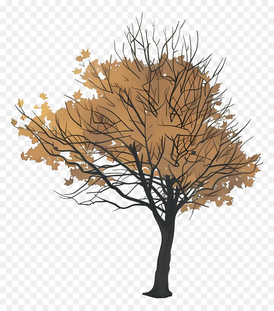 Femme En Journée D'automne，Arbre D'automne PNG