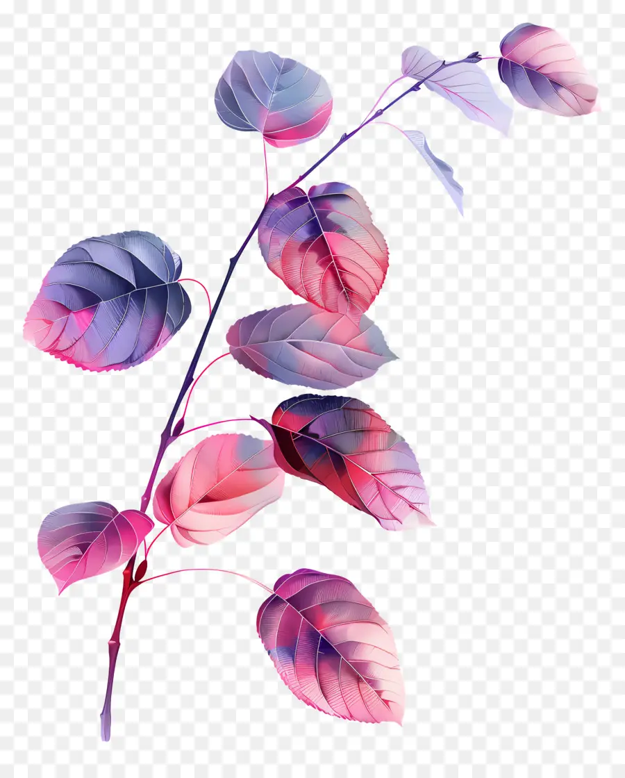 Feuilles Sur Branche，Feuilles Colorées PNG