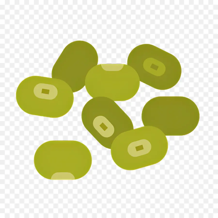 Haricots Verts，Haricots PNG