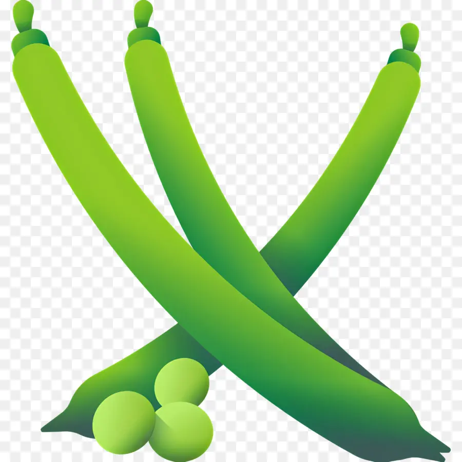 Haricots Verts，Légume PNG