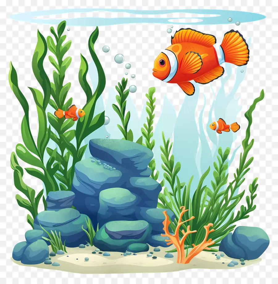 Poissons Et Algues，Aquarium PNG