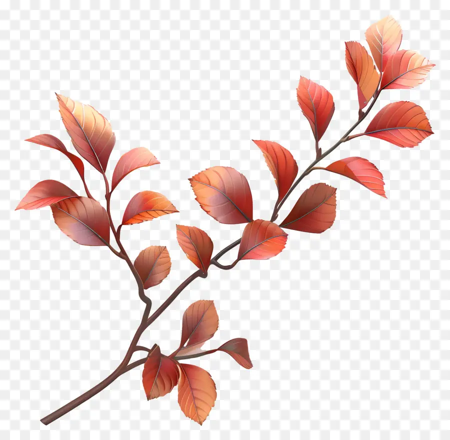 Feuilles Sur Branche，Feuilles Roses PNG