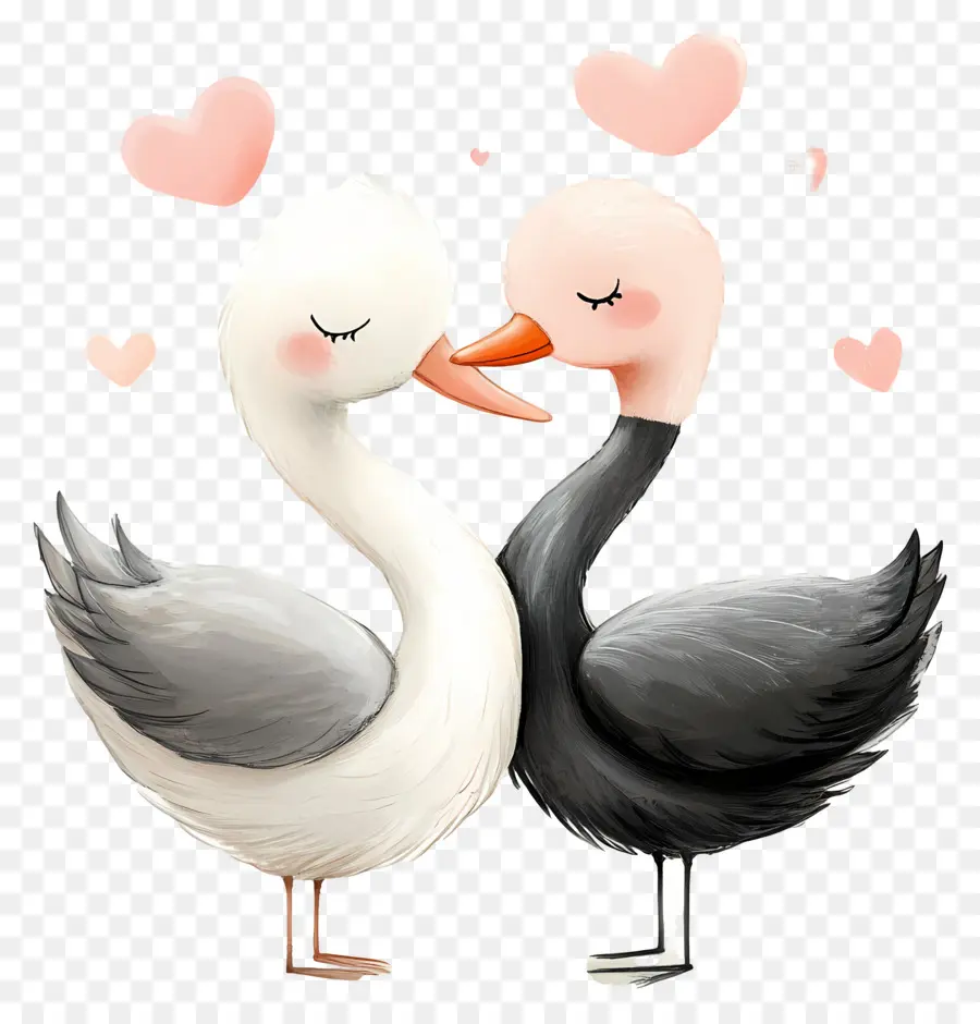 Amour éternel，Cygnes PNG