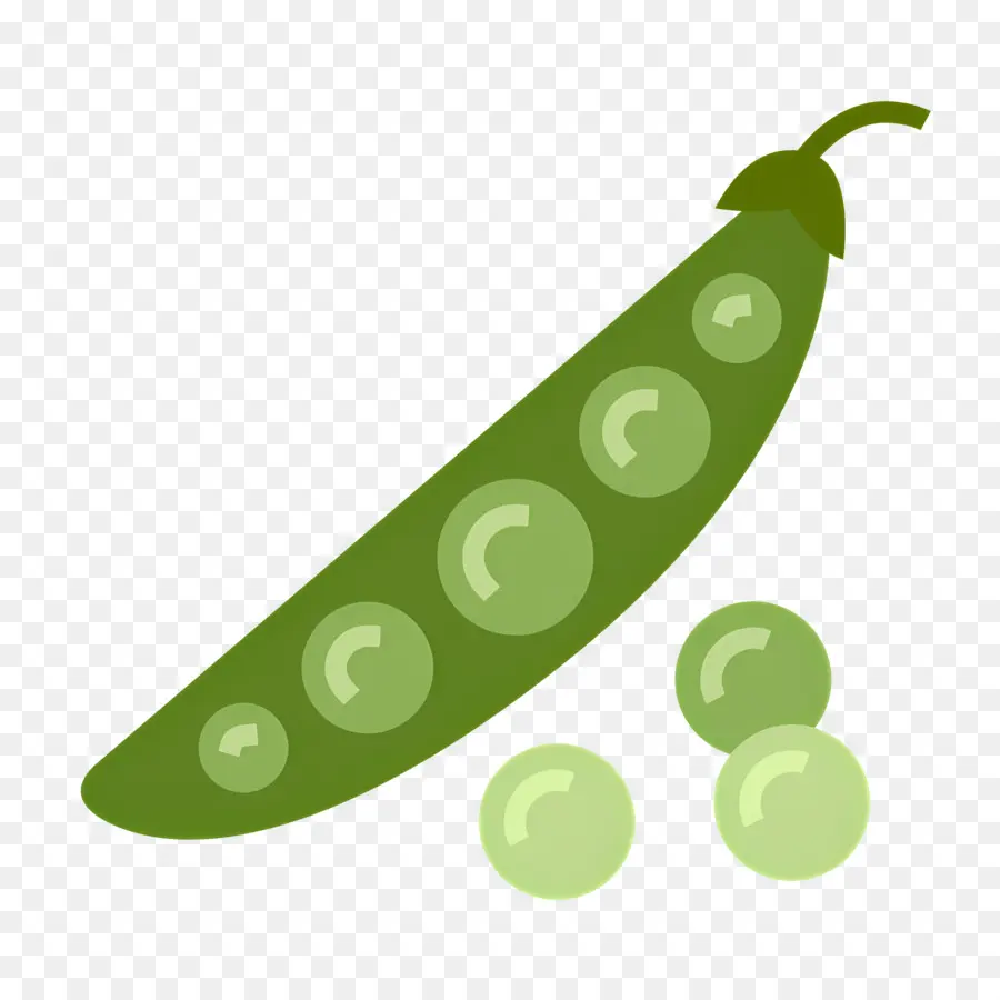 Haricots Verts，Pois Verts PNG