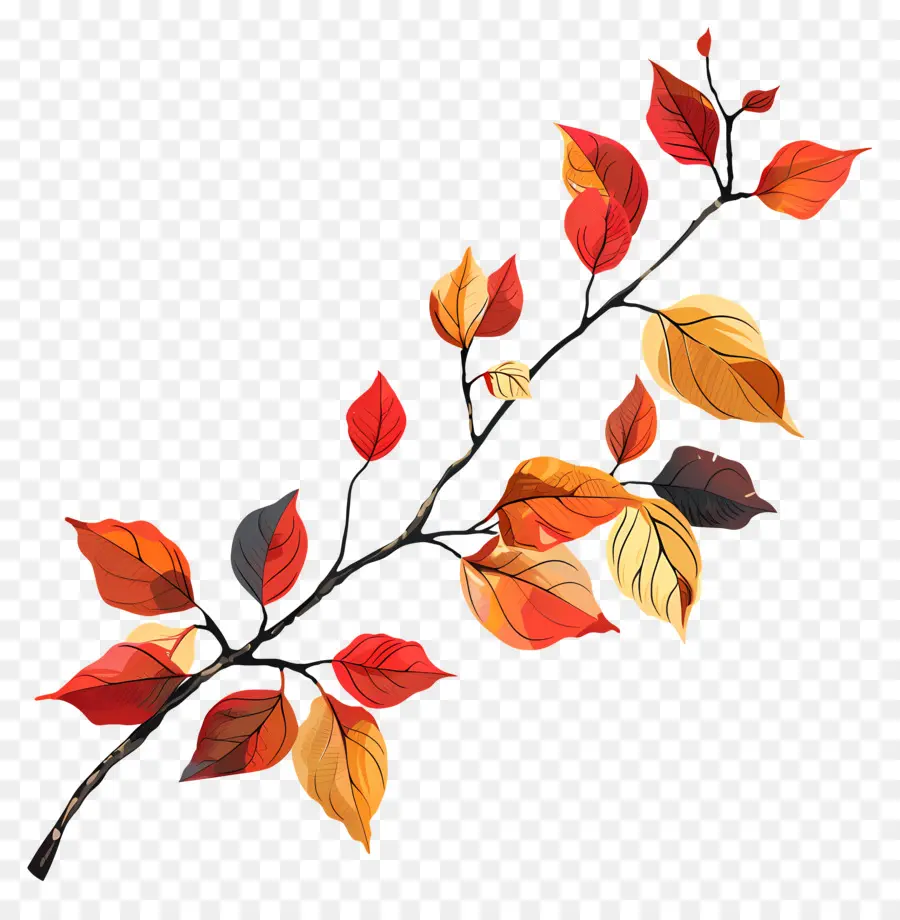 Feuilles Sur Branche，Bifurquer PNG