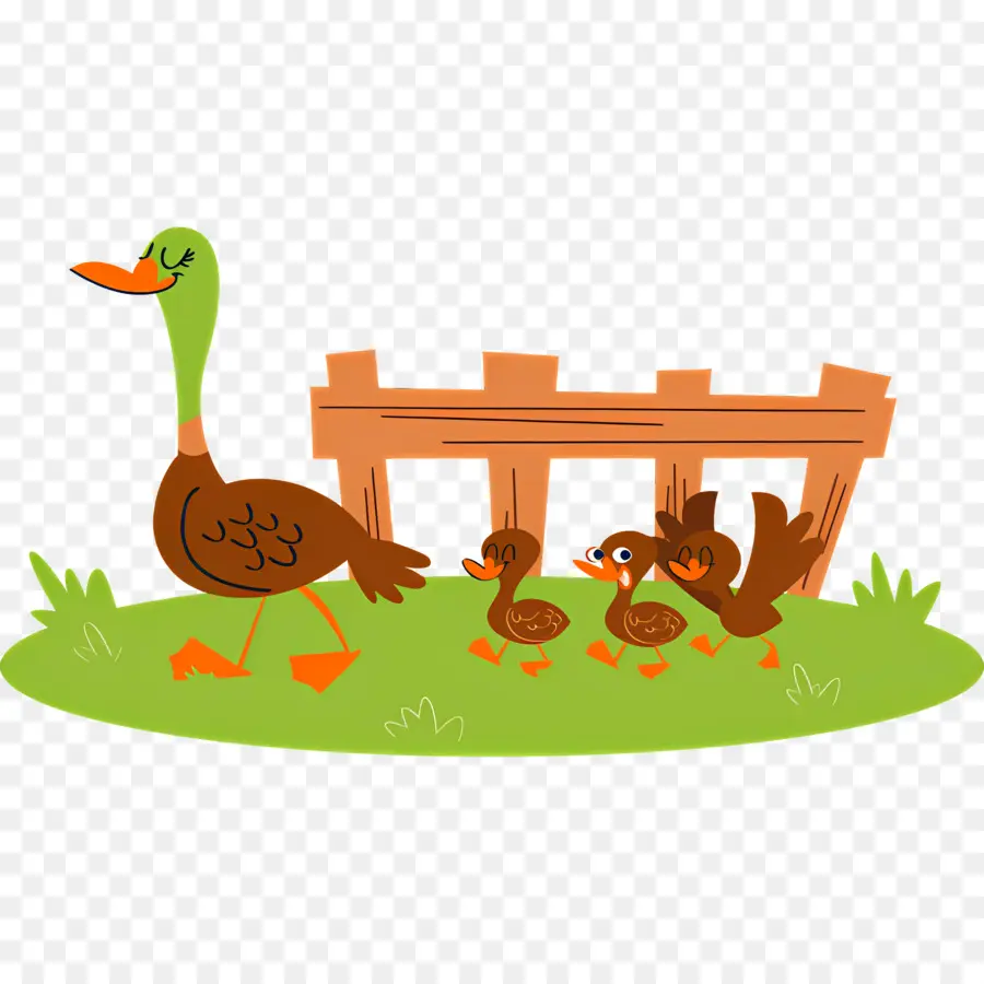 Canard De Dessin Animé，Famille De Canard PNG