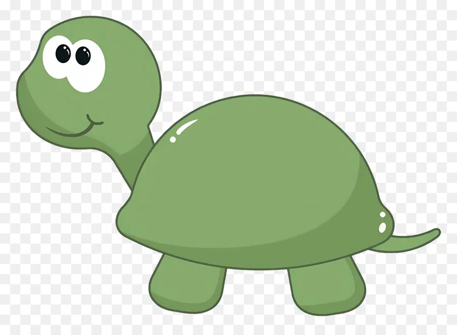 Tortue De Dessin Animé，Tortue PNG