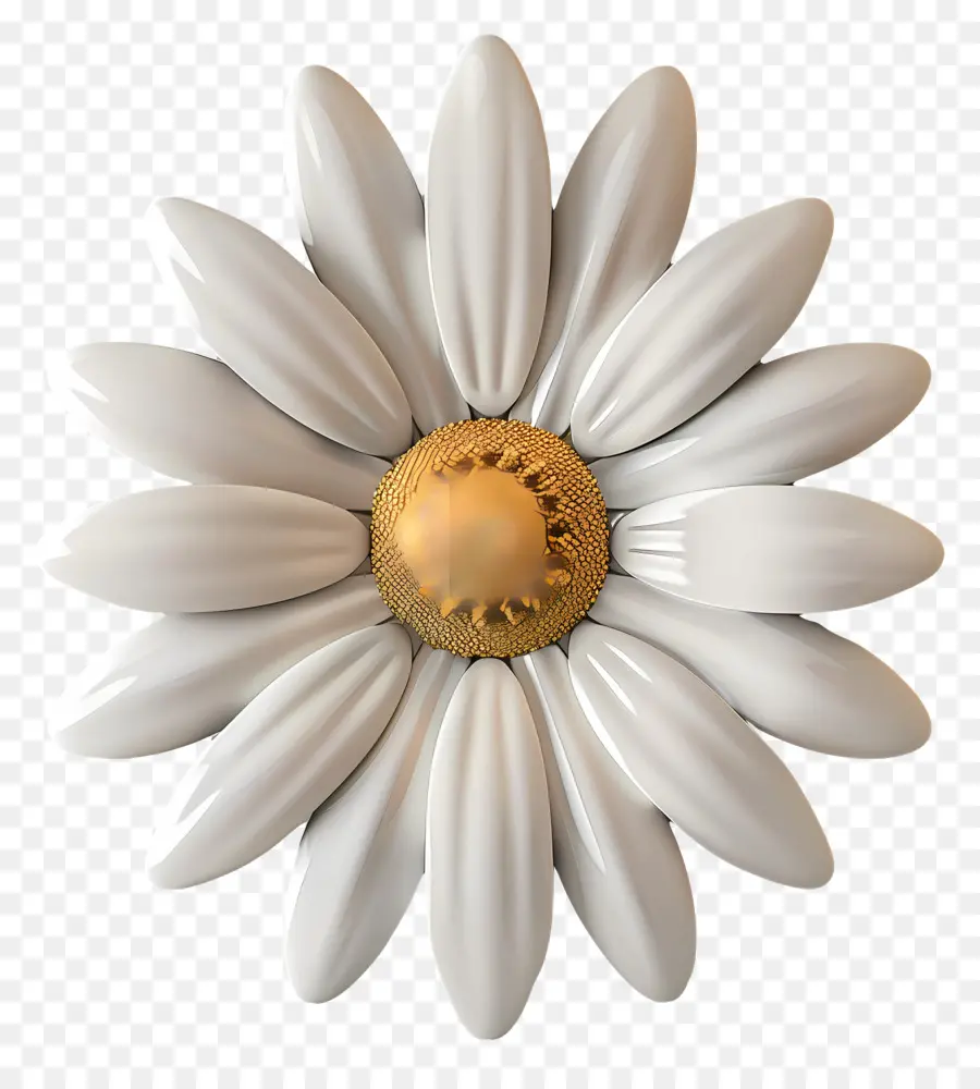 Fleur De Marguerite Blanche，Fleur Blanche PNG