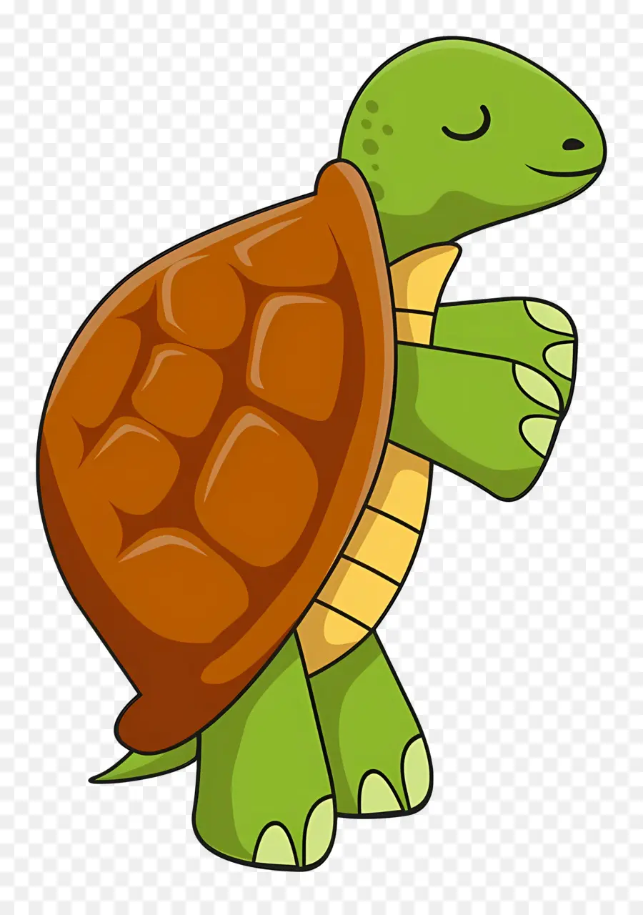 Tortue De Dessin Animé，Tortue PNG