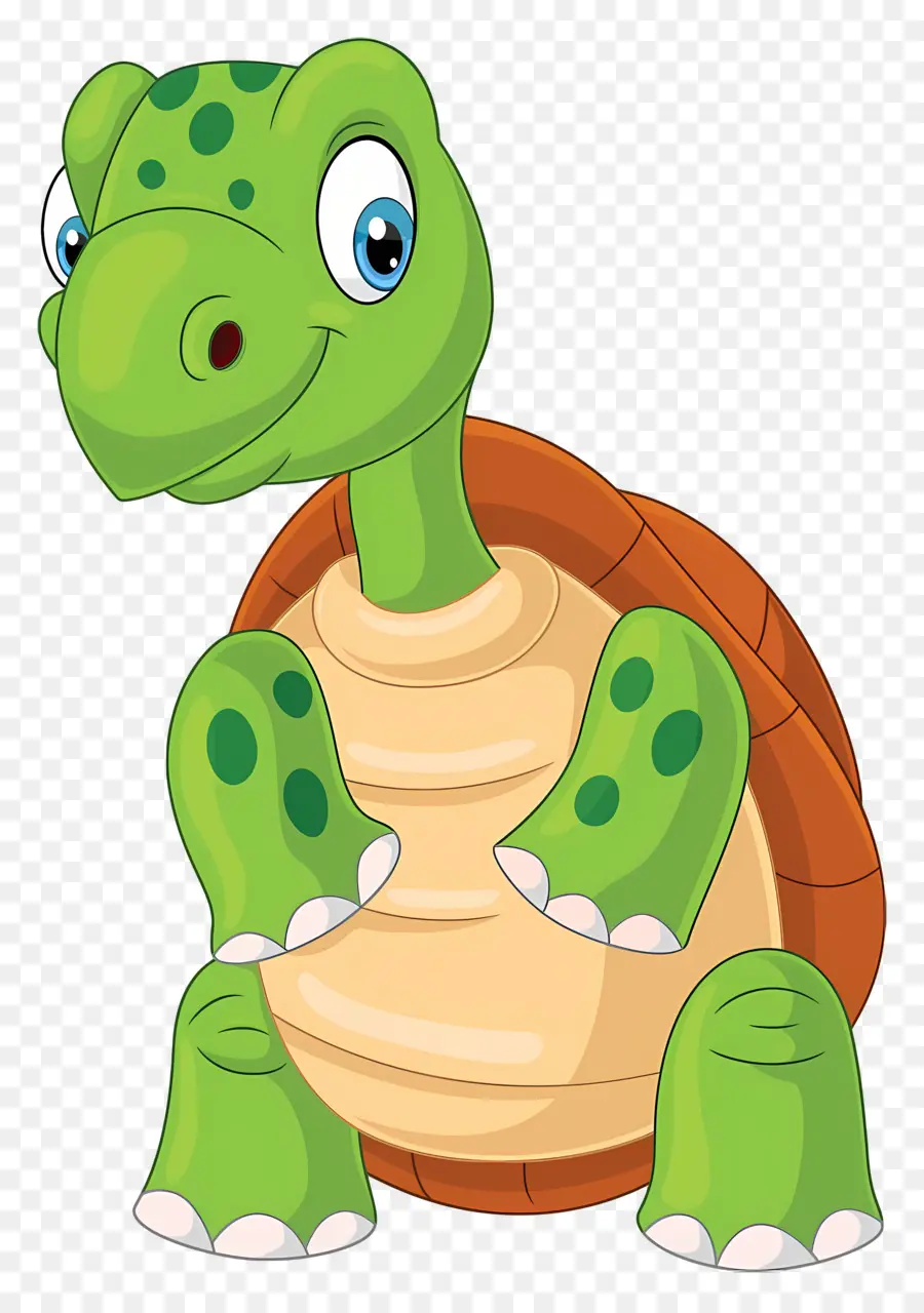 Tortue De Dessin Animé，Tortue Verte PNG