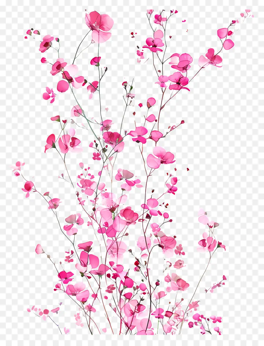 Fond De Fleurs，Fleurs Roses PNG