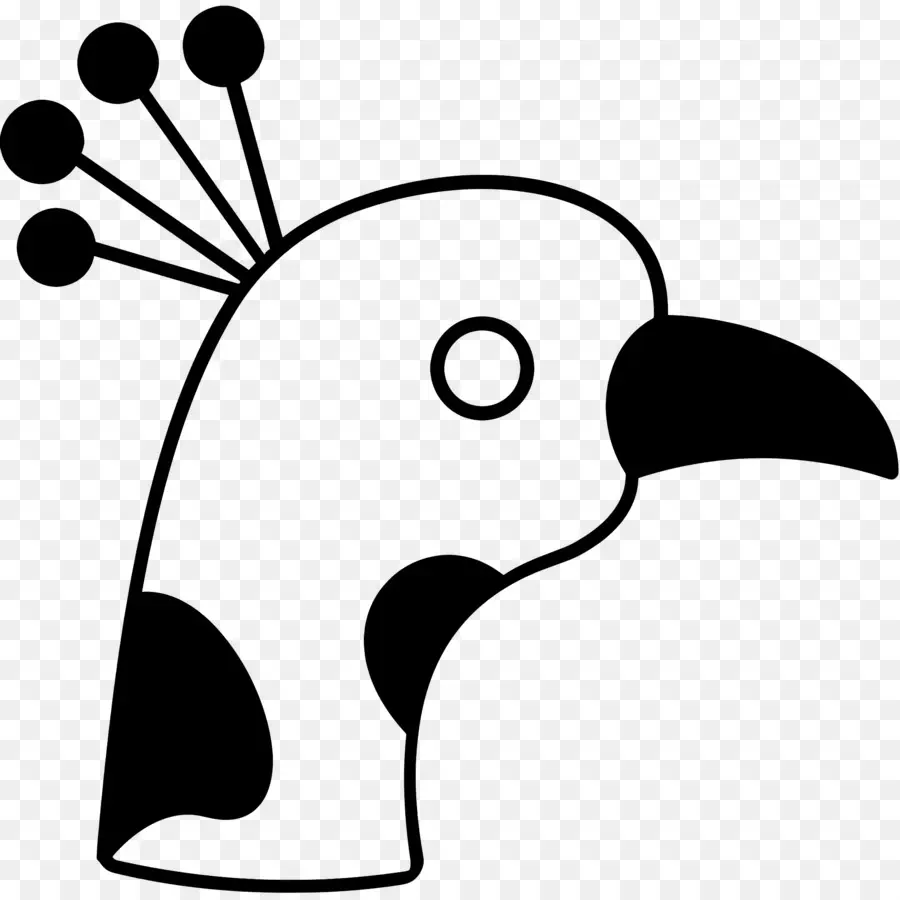 Paon，Oiseau Noir Et Blanc PNG