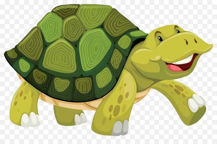 Tortue De Dessin Animé，Tortue PNG