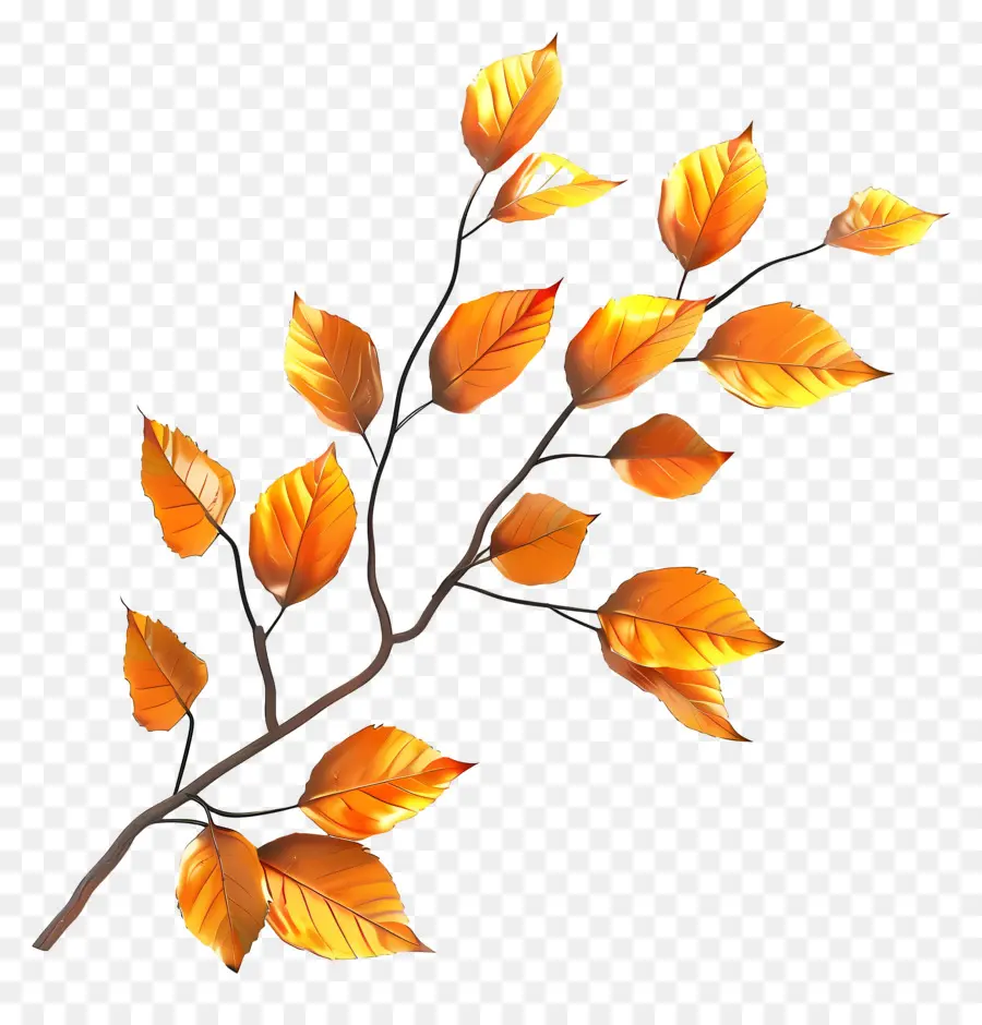 Feuilles Sur Branche，Bifurquer PNG