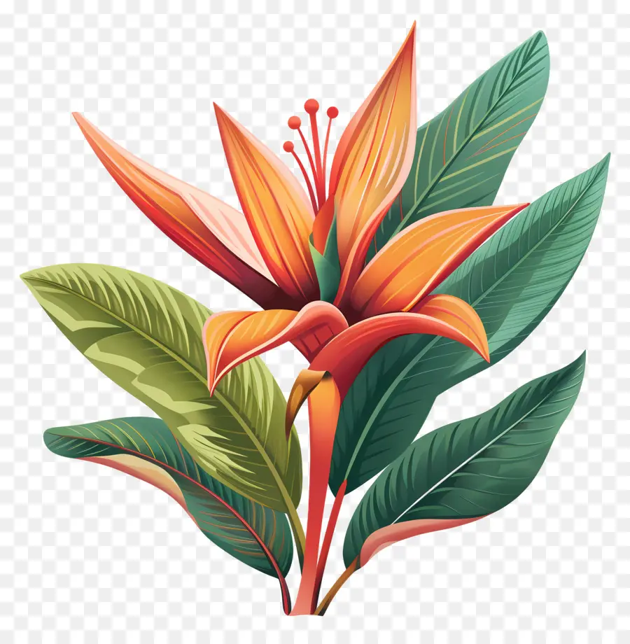 Fleur De La Jungle，Fleur Tropicale PNG