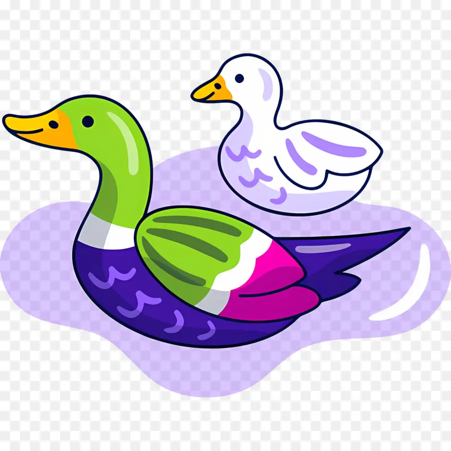 Canard De Dessin Animé，Canard PNG