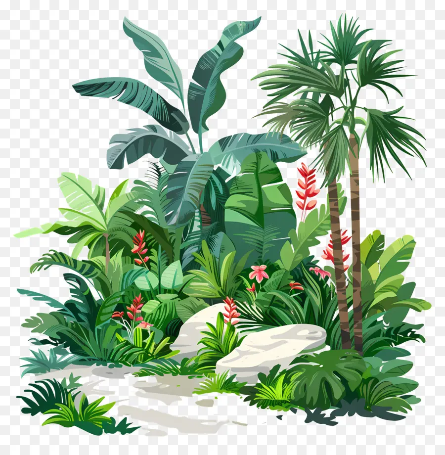 Paysage De Jardin，Plantes Tropicales PNG