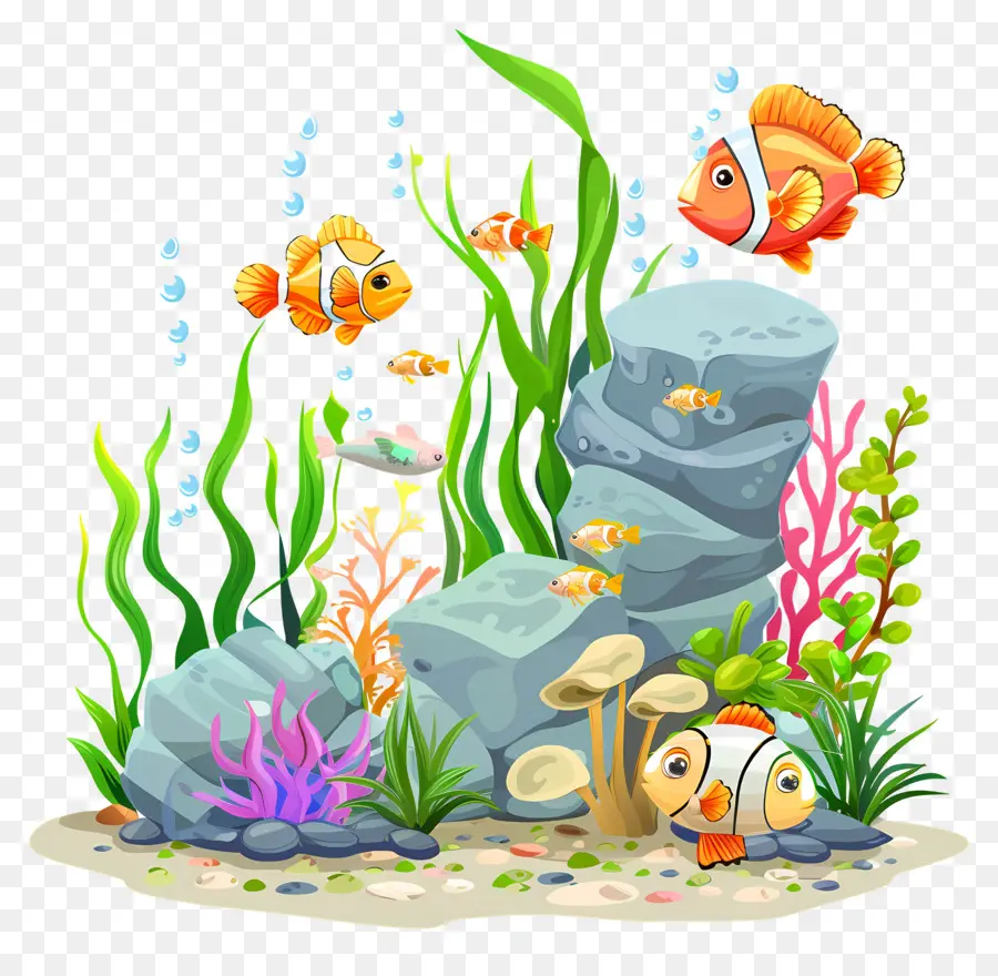 Poissons Et Algues，Aquarium PNG